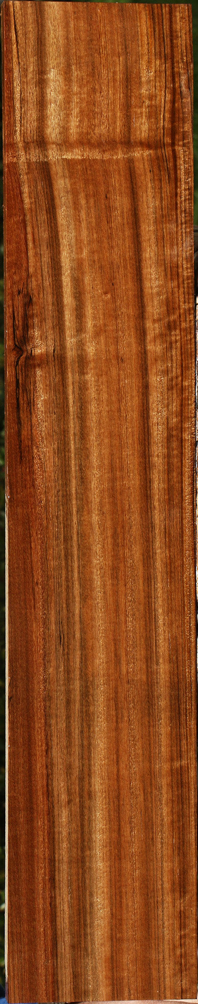 Figured Quartersawn Amazique Lumber