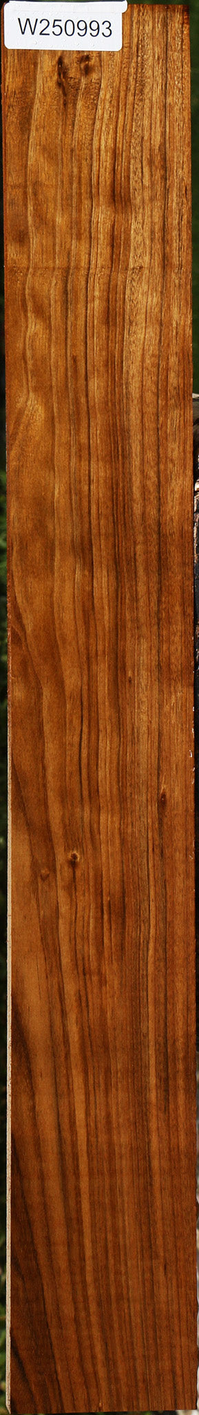 Amazique Lumber