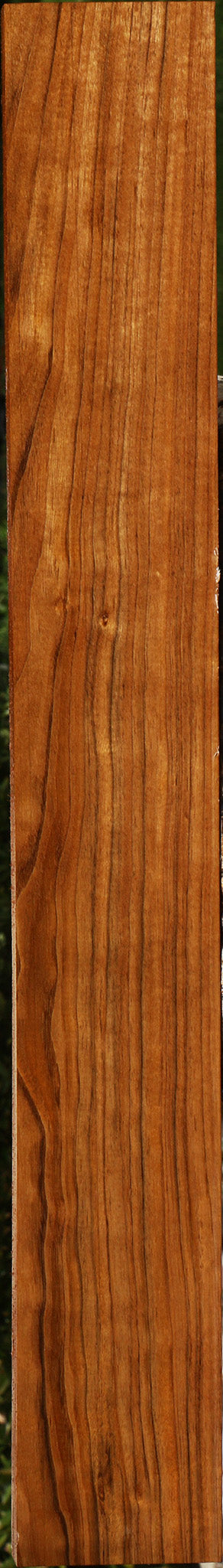 Amazique Lumber
