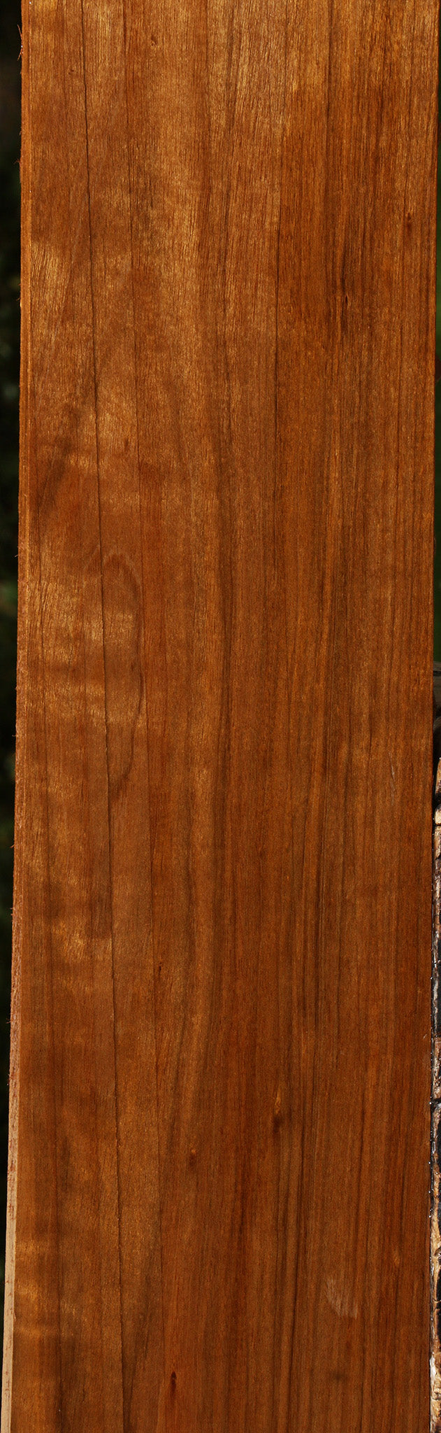 Figured Amazique Lumber