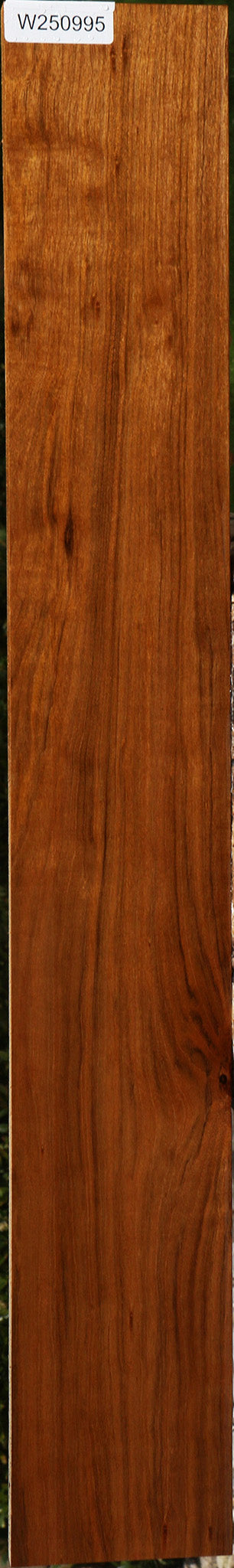 Amazique Lumber