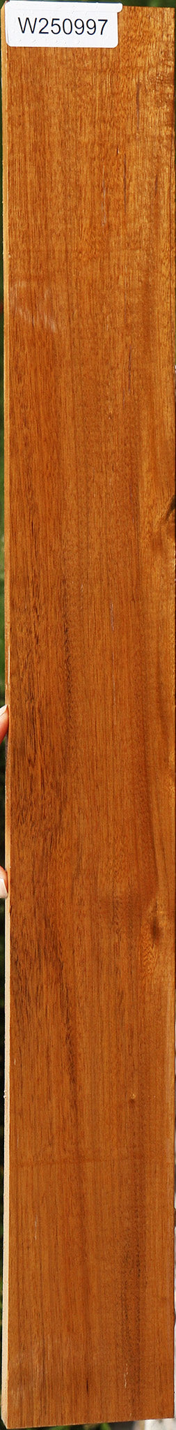 Amazique Lumber