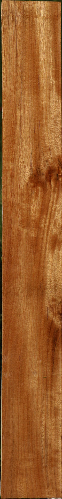 Amazique Lumber