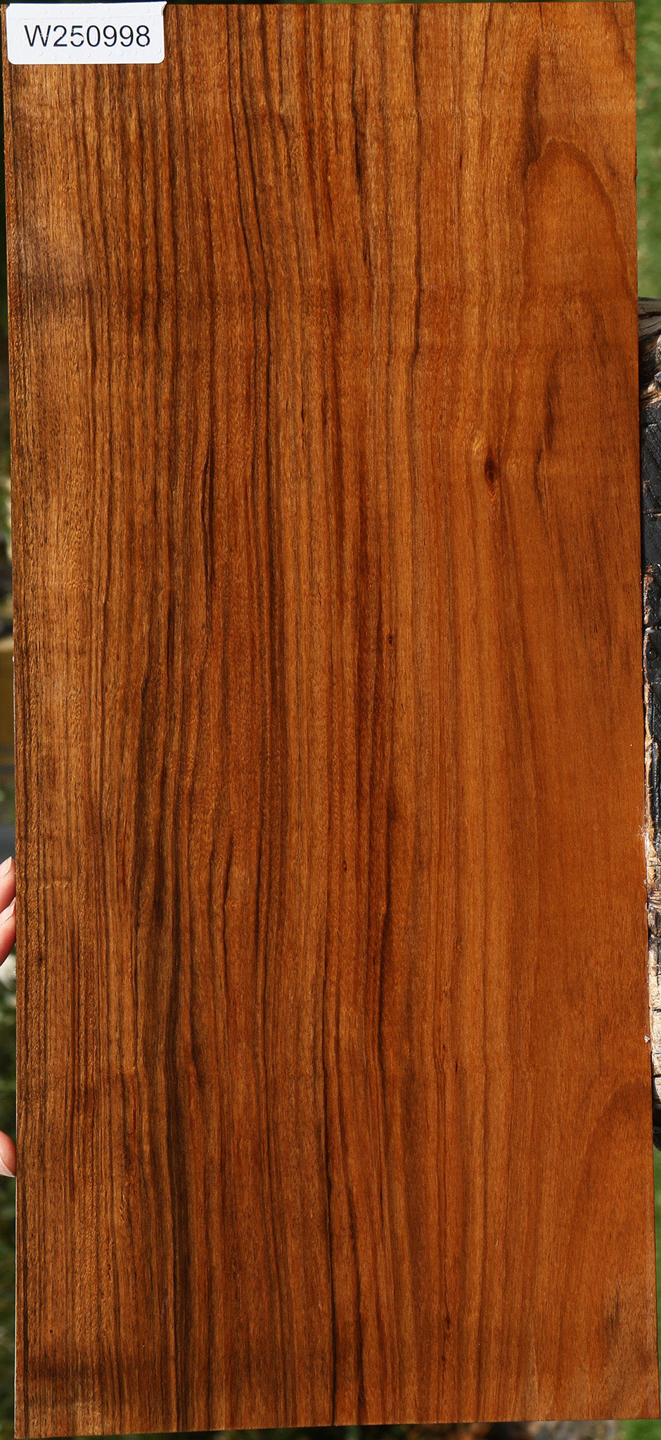 Figured Amazique Lumber
