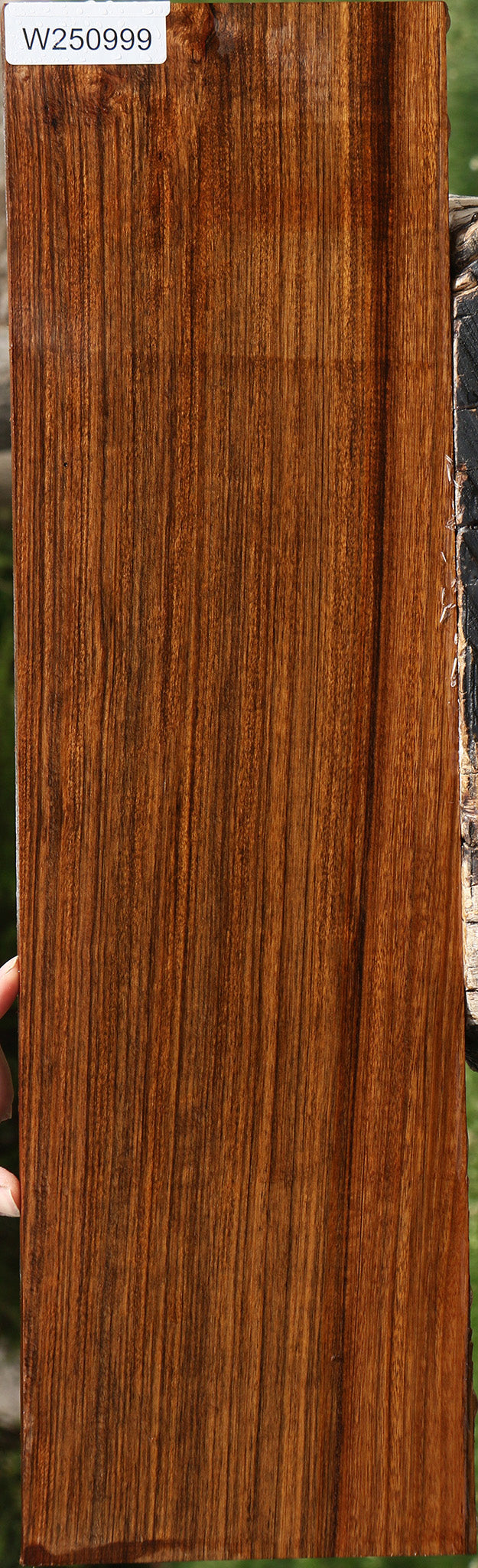 Figured Amazique Lumber