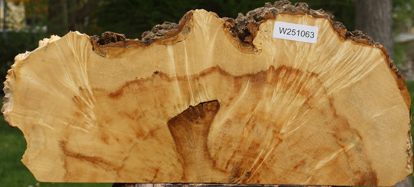 Box Elder Burl Live Edge Slice