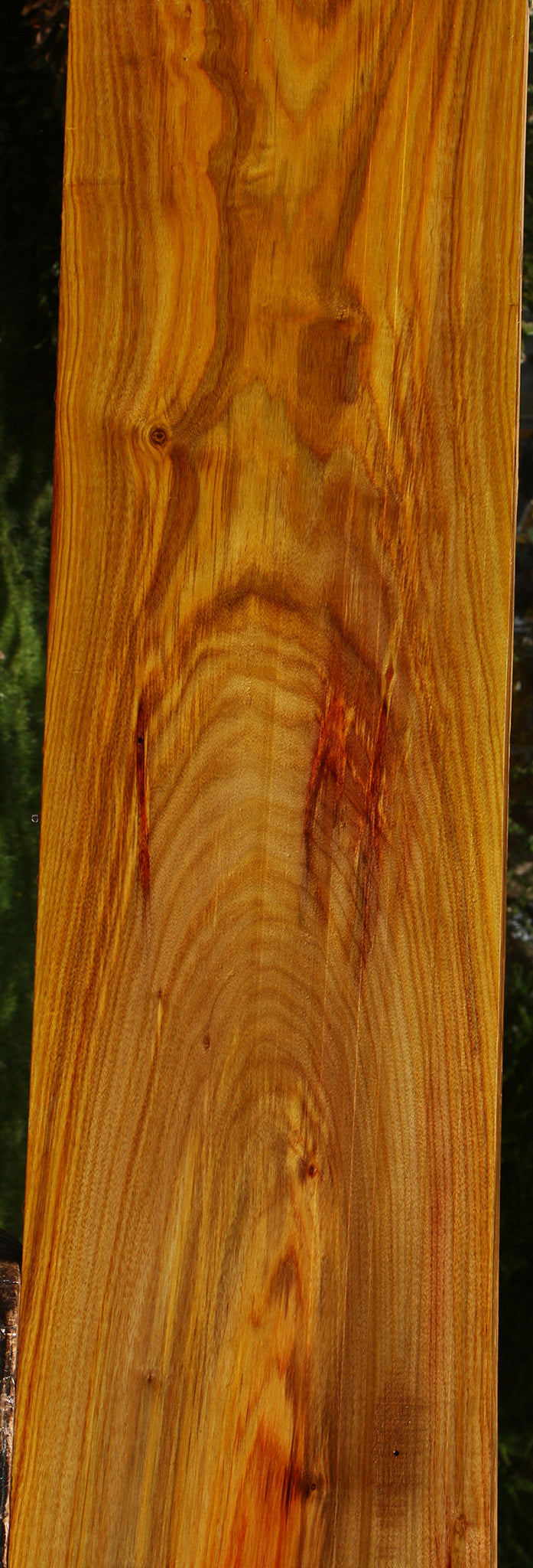 Figured Canary Lumber