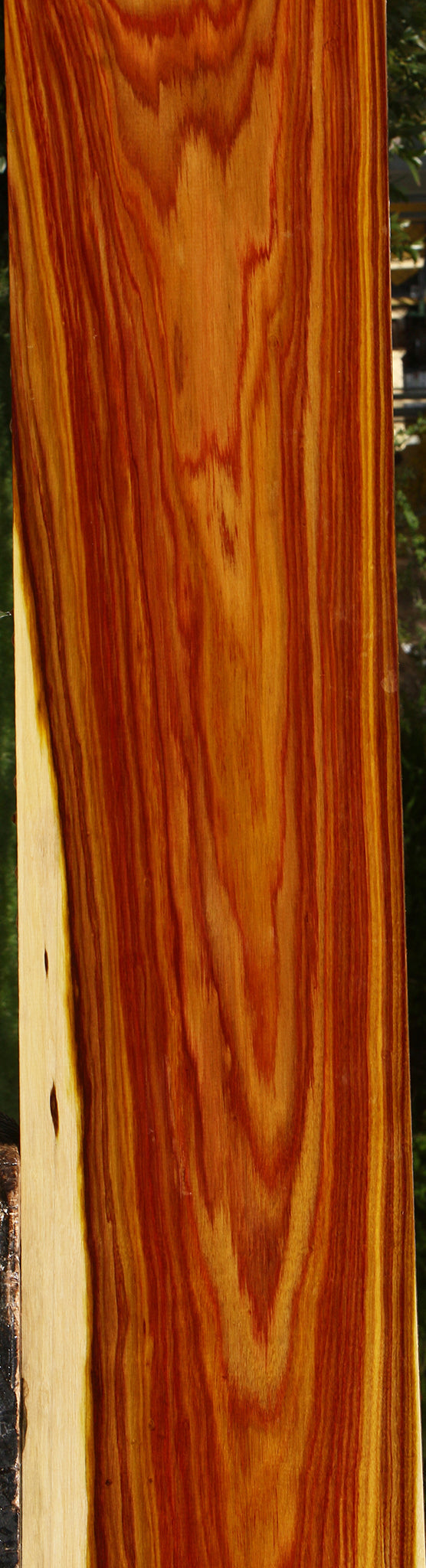Extra Fancy Canary Lumber