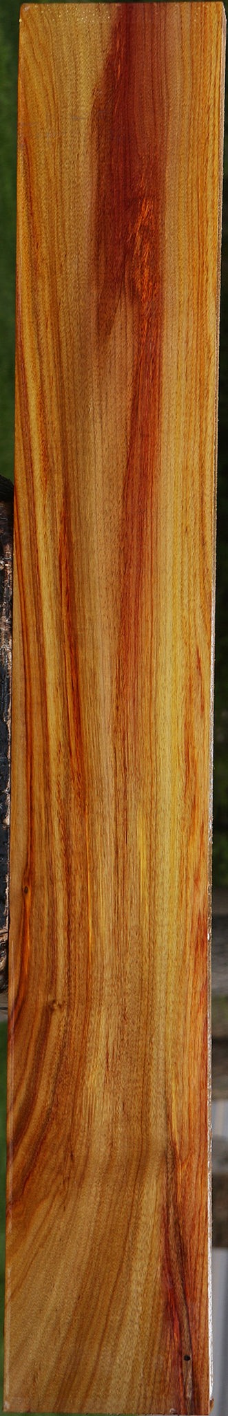Canary Lumber