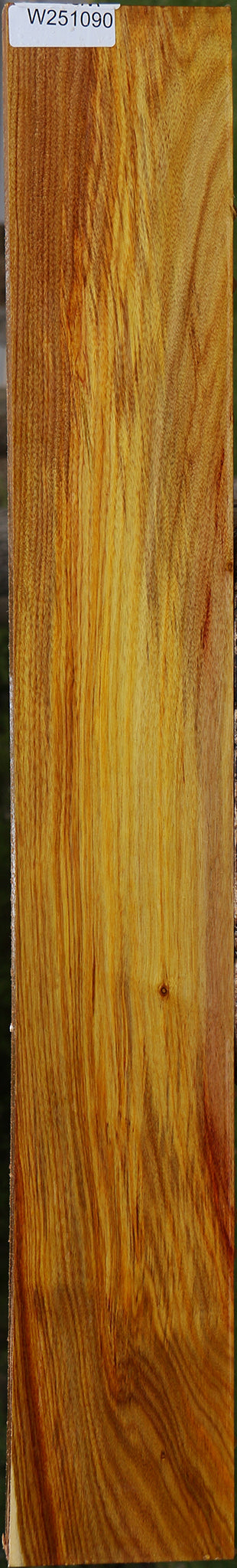 Canary Lumber