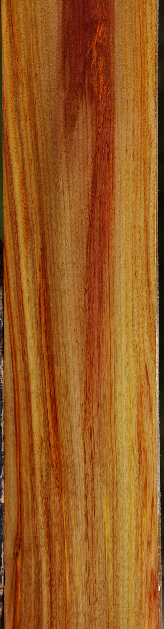 Canary Lumber