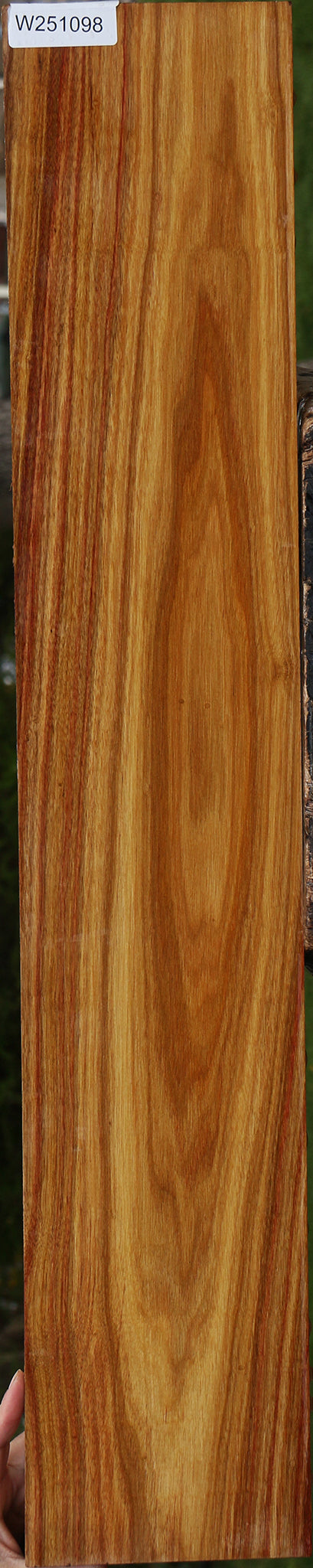 Canary Lumber