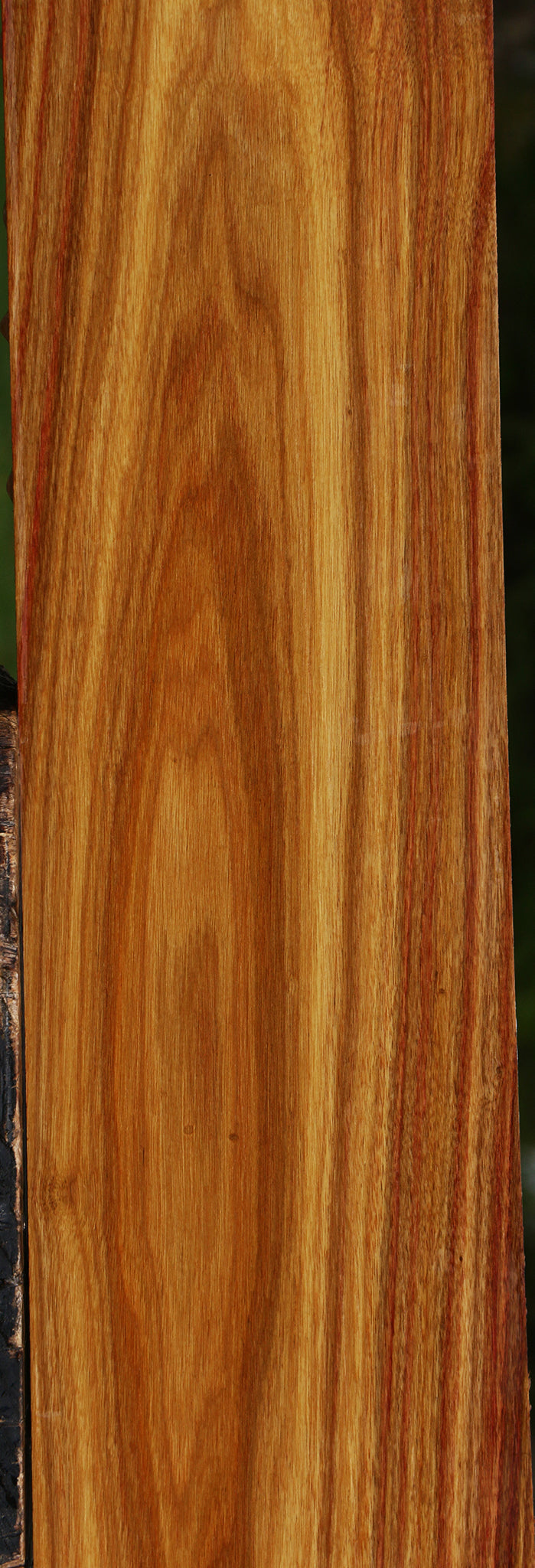 Canary Lumber