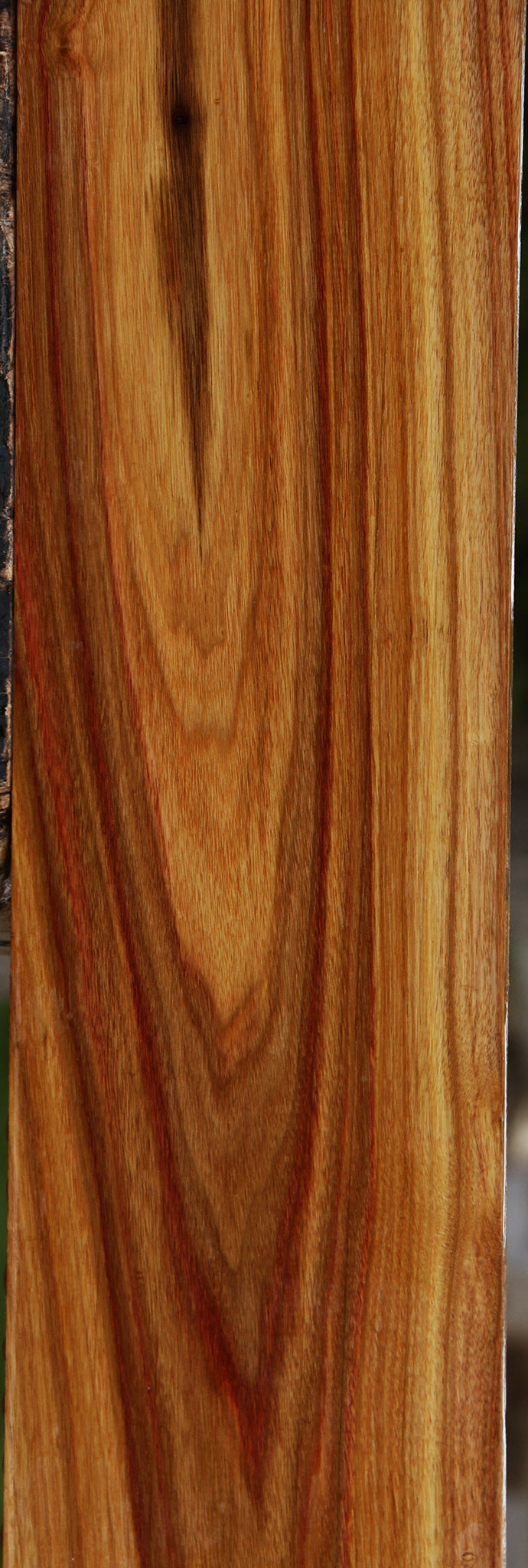 Canary Lumber