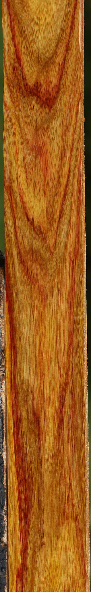 Extra Fancy Canary Lumber
