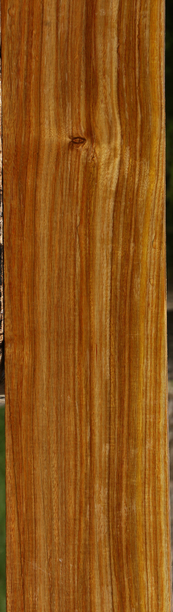 Canary Lumber