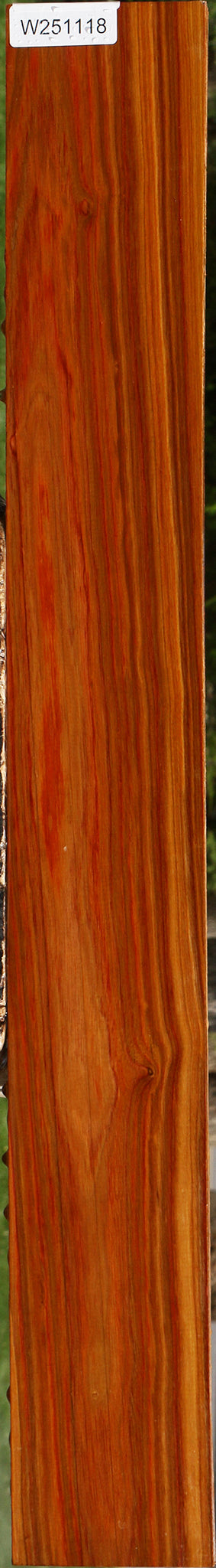 Canary Lumber
