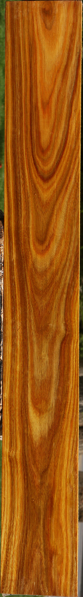 Canary Lumber