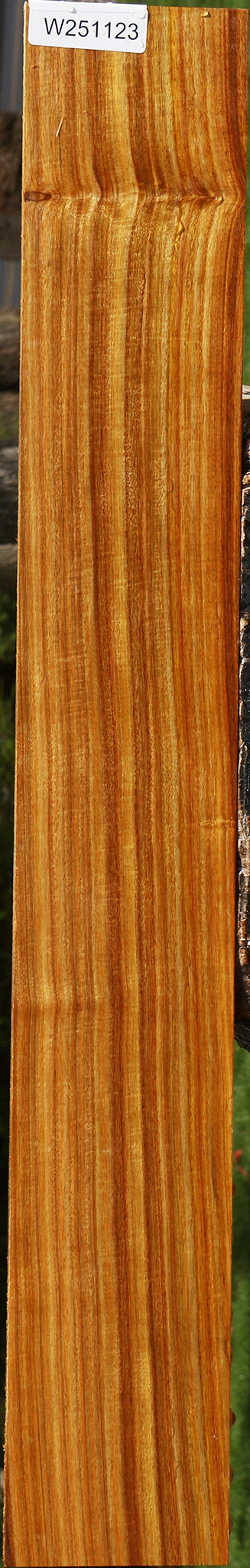 Extra Fancy Quartersawn Canary Lumber
