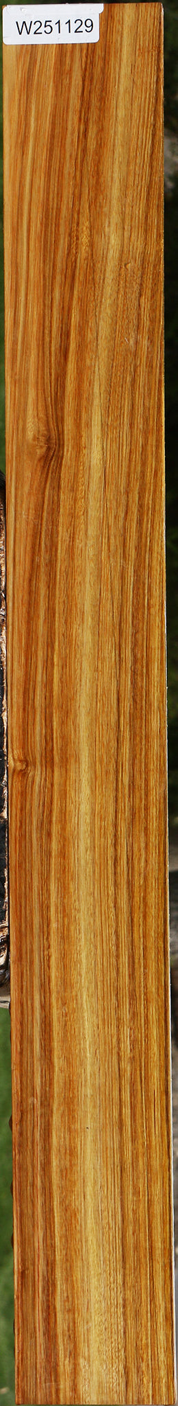 Canary Lumber