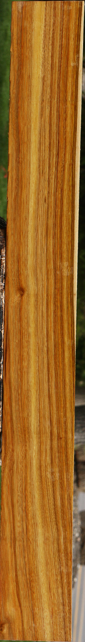Canary Lumber