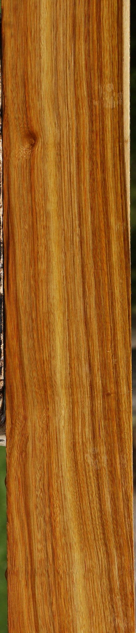 Canary Lumber