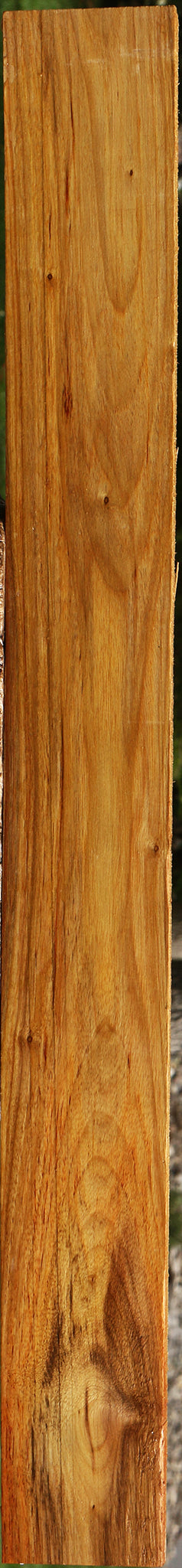 Canary Lumber