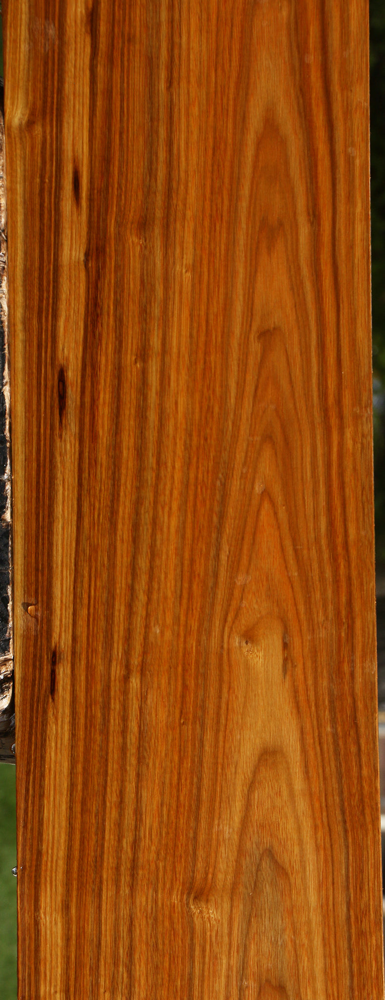 Canary Lumber