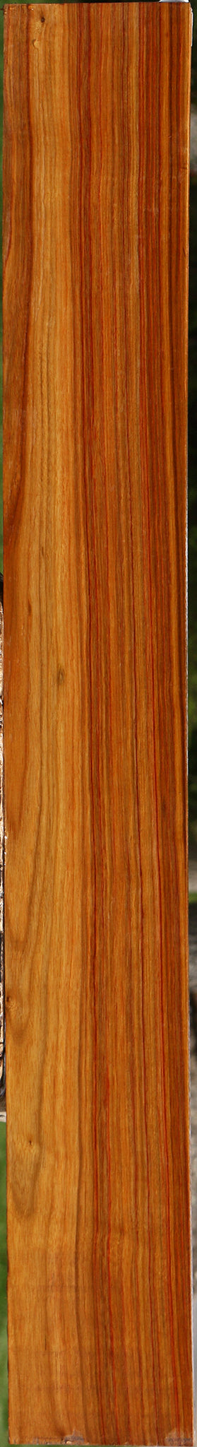 Canary Lumber