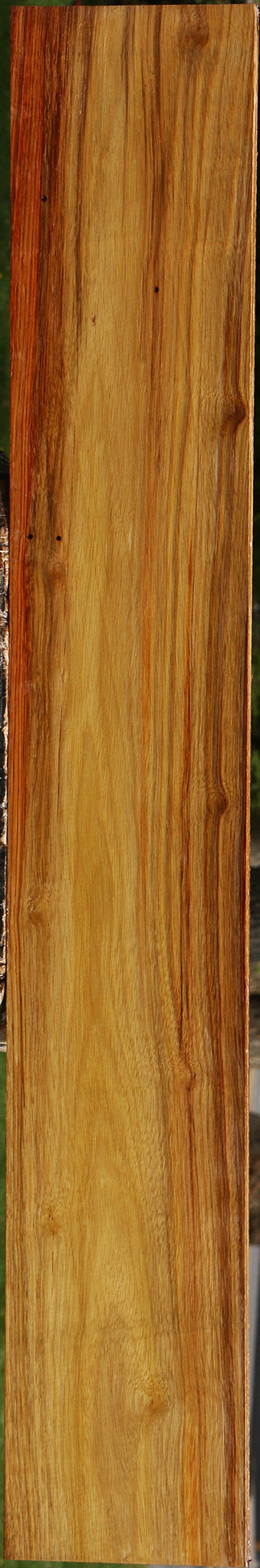 Canary Lumber