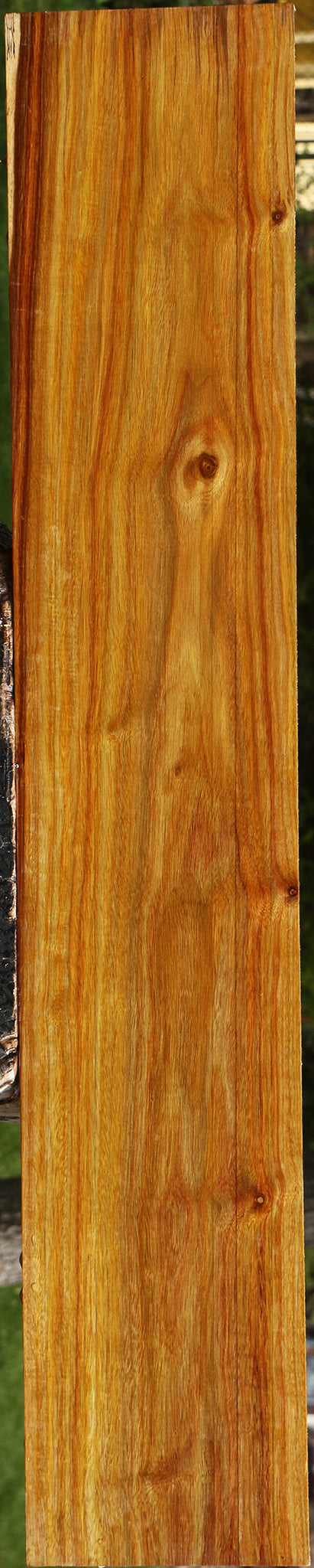 Canary Lumber