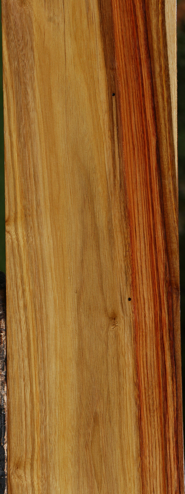 Canary Lumber