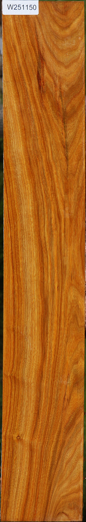Canary Lumber