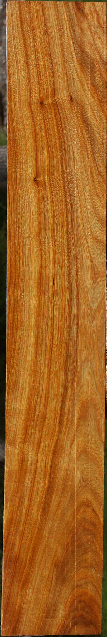 Canary Lumber