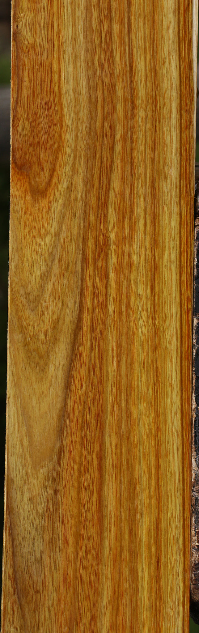 Canary Lumber