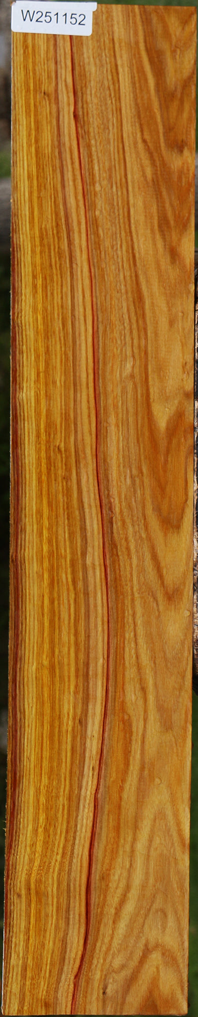 Canary Lumber