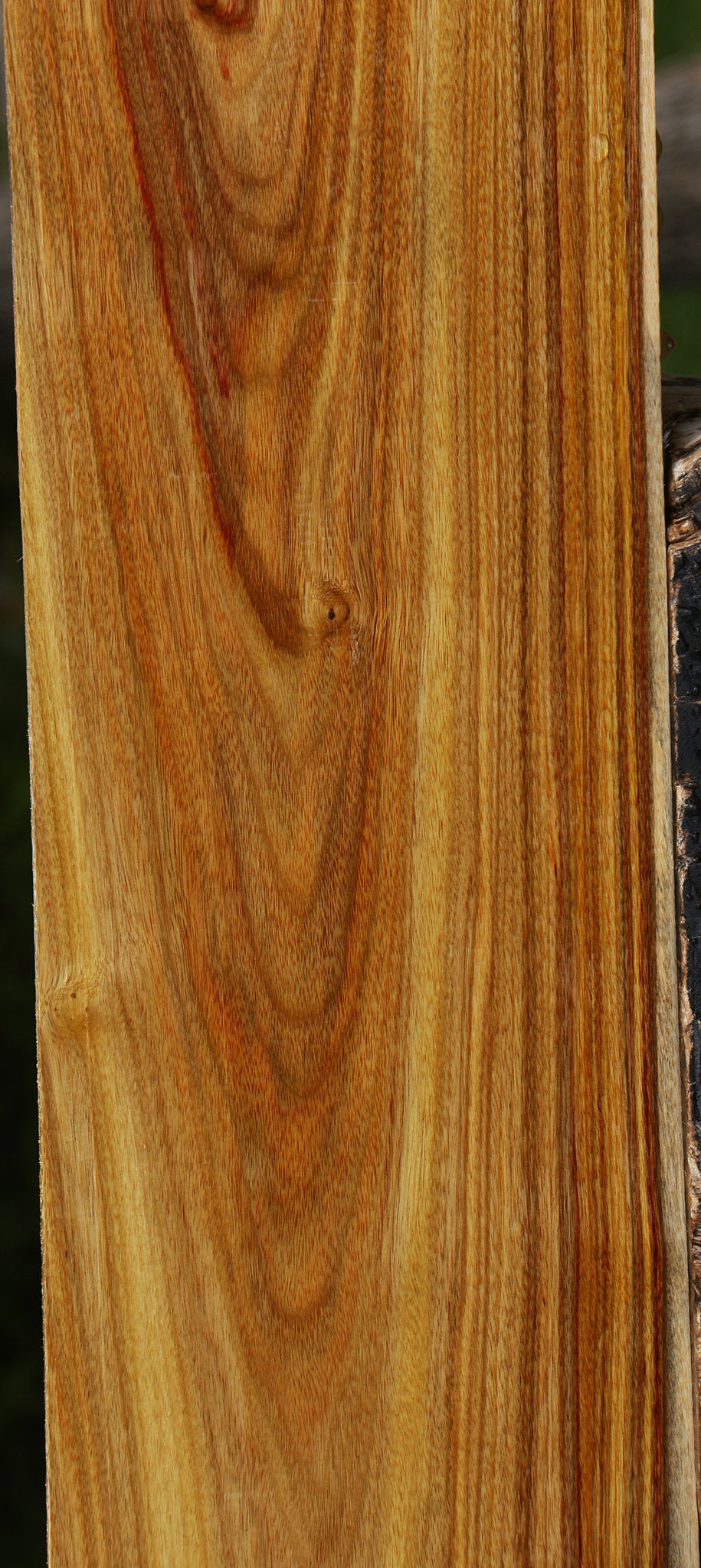 Canary Lumber