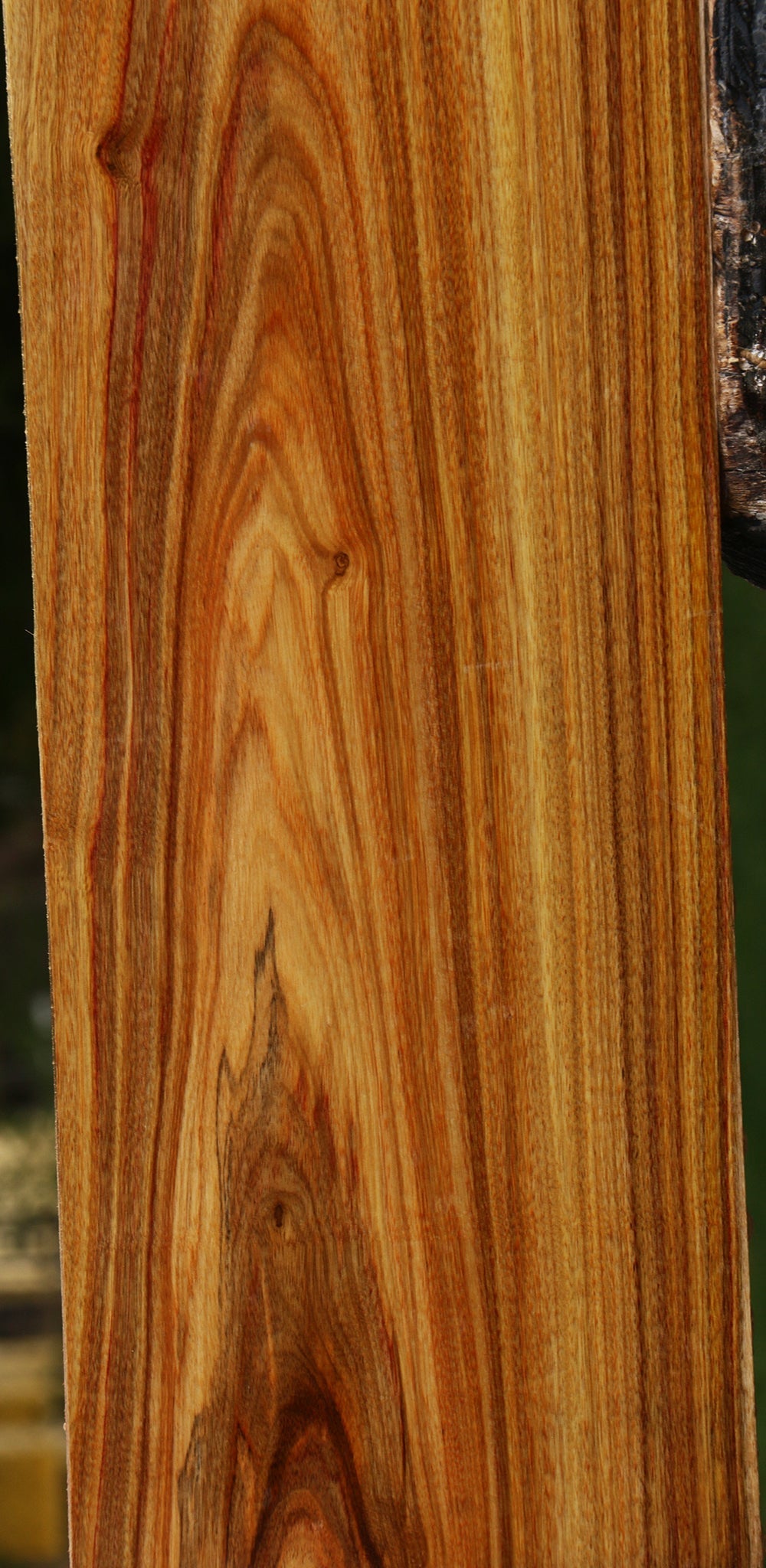 Canary Lumber