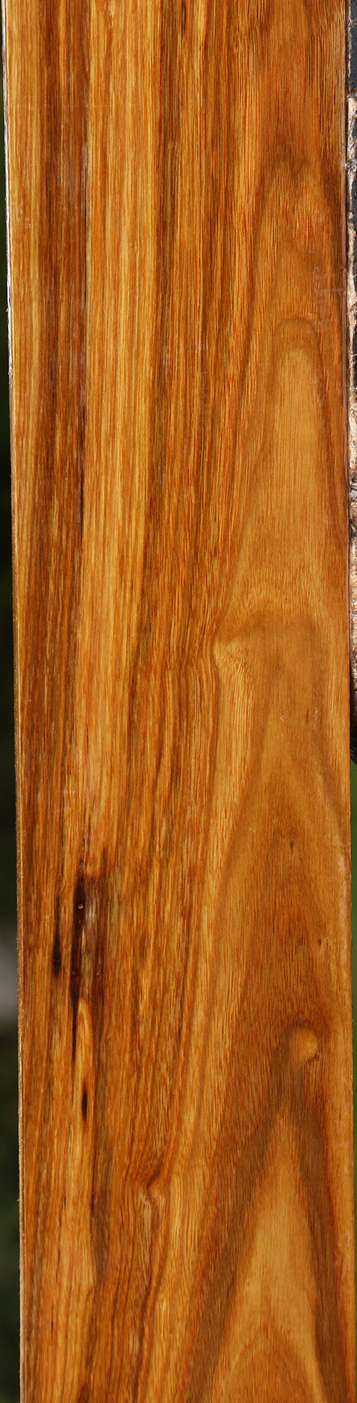 Canary Lumber