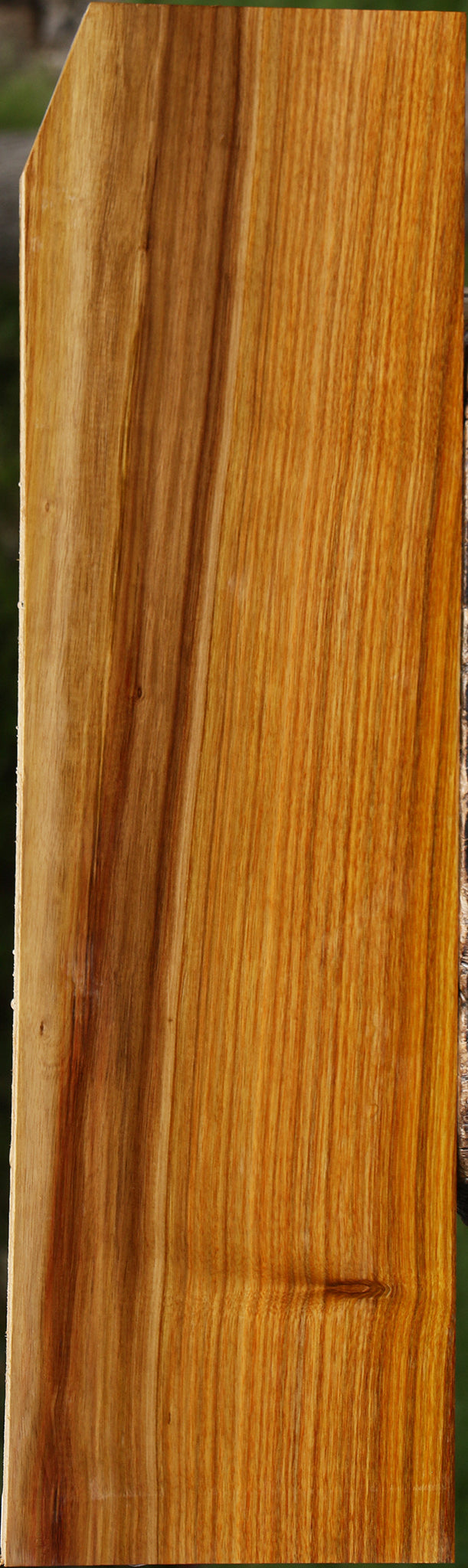 Canary Lumber