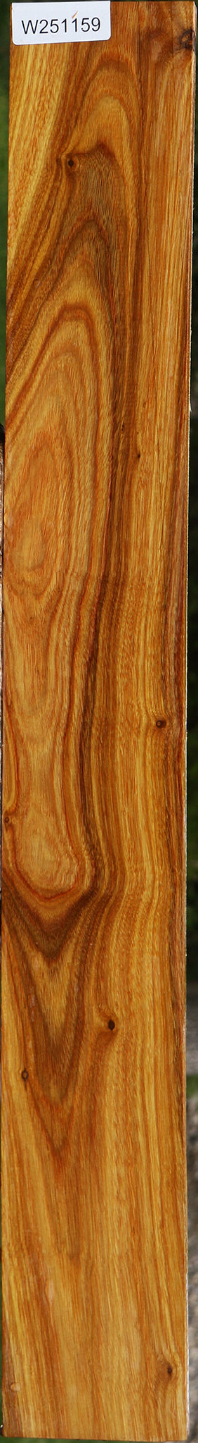 Canary Lumber
