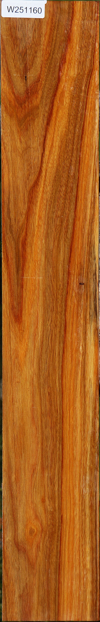 Canary Lumber