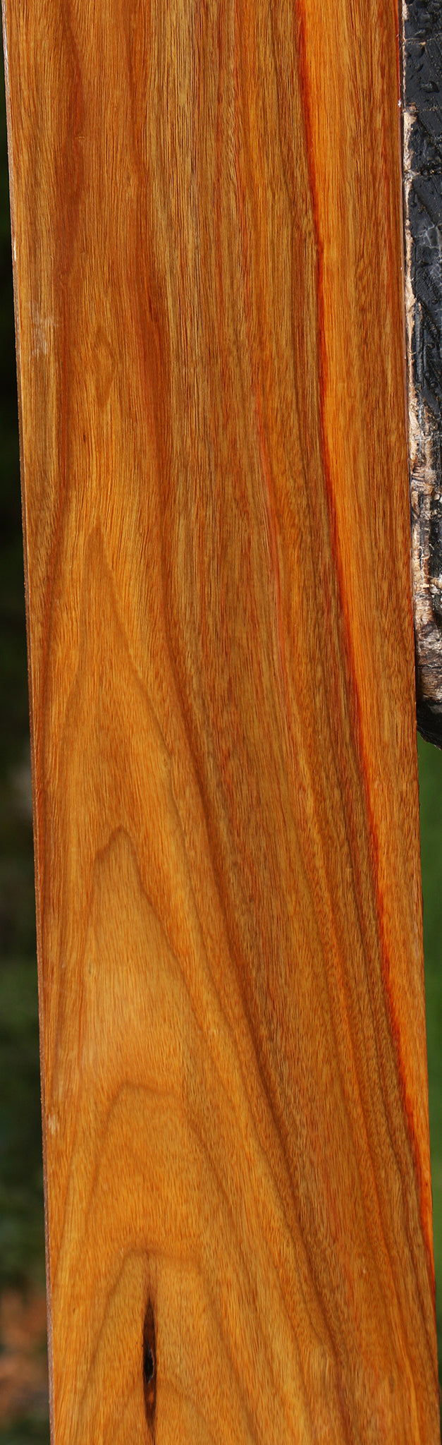 Canary Lumber