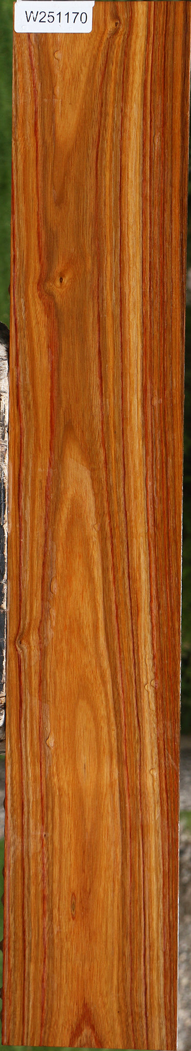 Canary Lumber