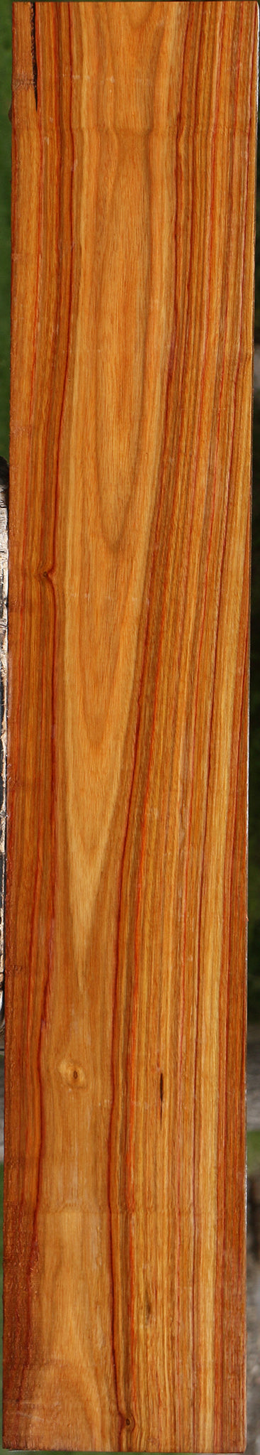 Canary Lumber