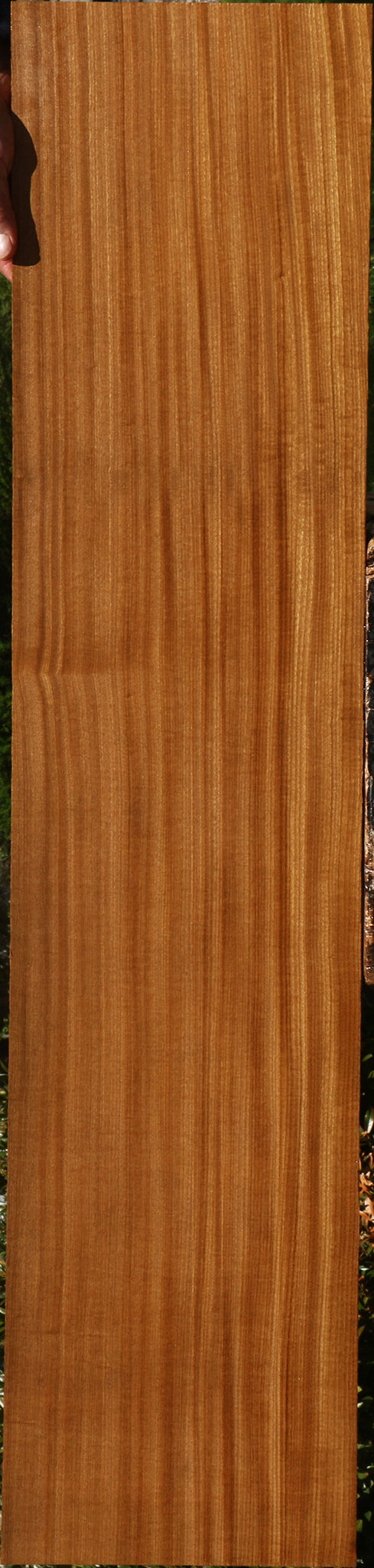 Figured Quartersawn Afrormosia Lumber