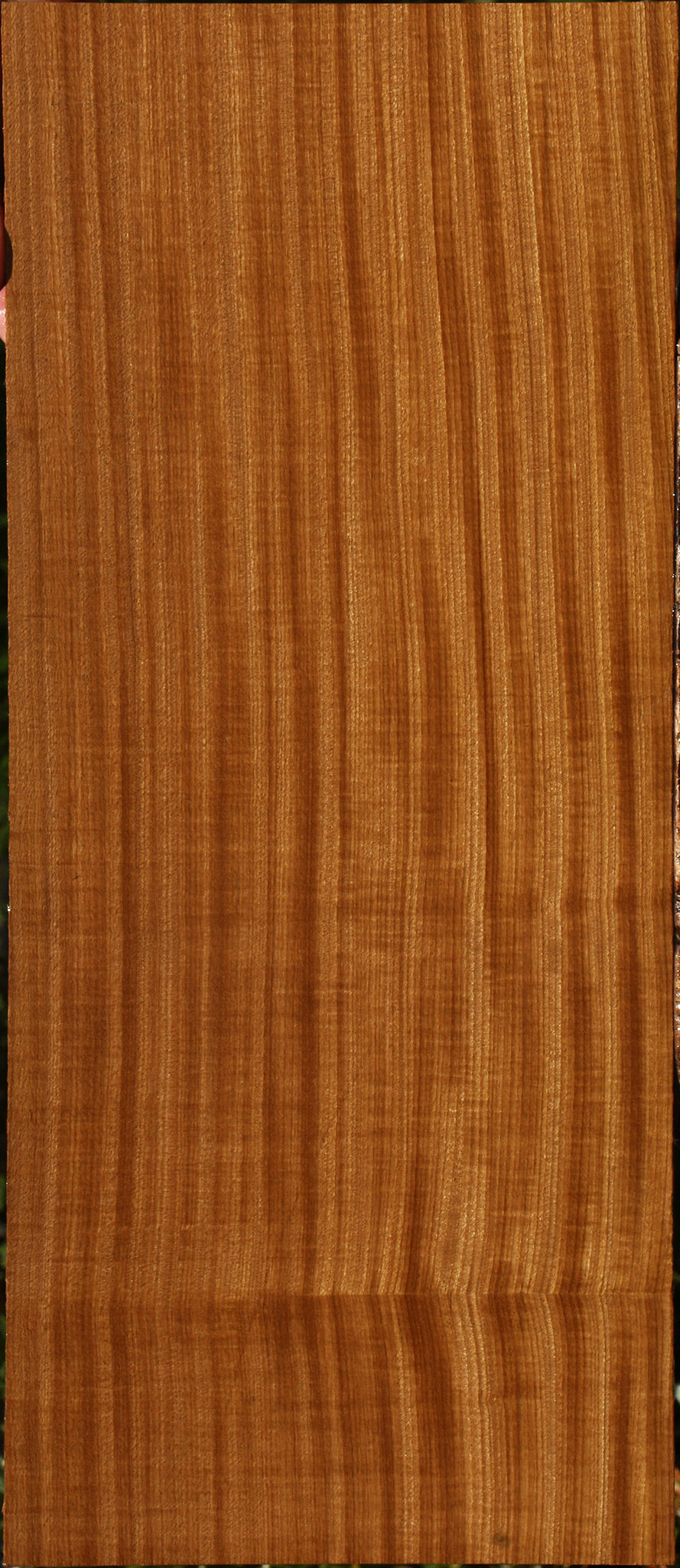 Extra Fancy Quartersawn Afrormosia Lumber