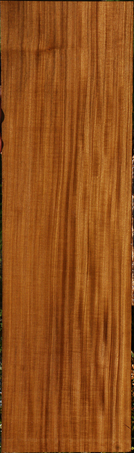 Extra Fancy Quartersawn Afrormosia Lumber
