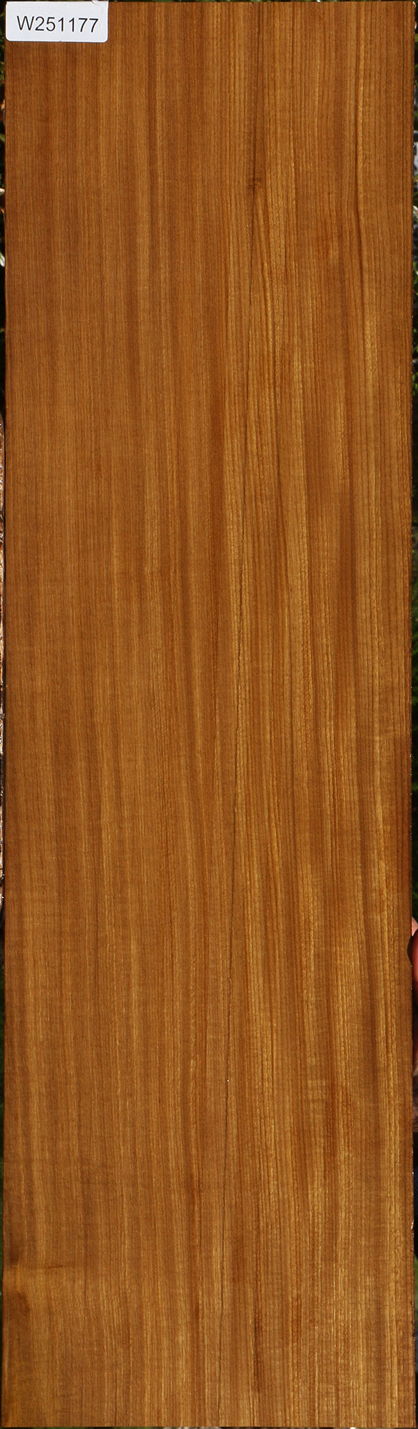 Extra Fancy Quartersawn Afrormosia Lumber