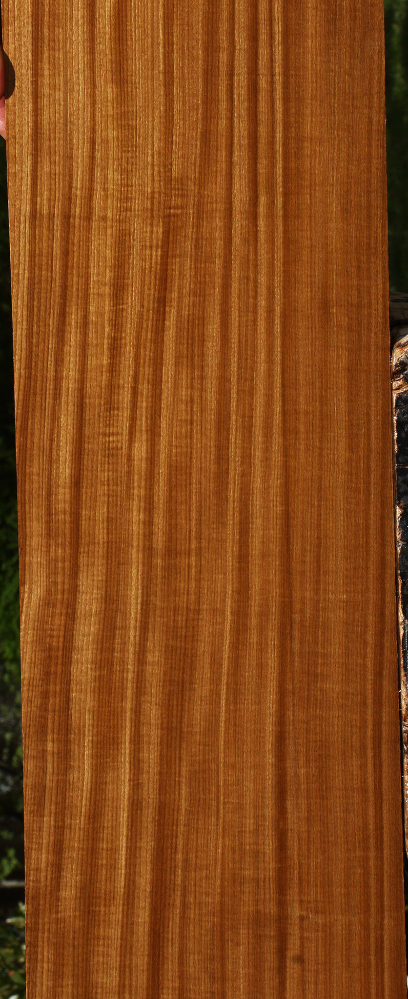 Extra Fancy Quartersawn Afrormosia Lumber